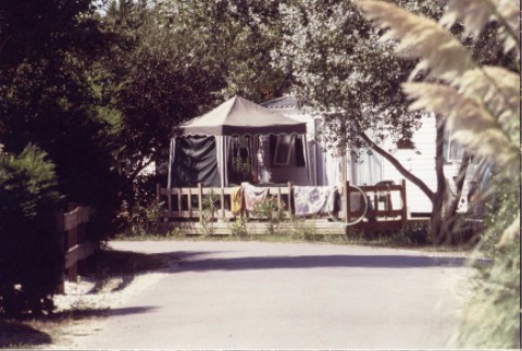 wmh10.jpg
